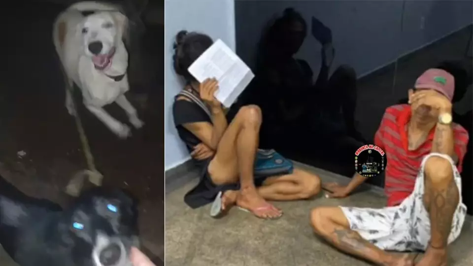 Casal é preso por matar e comer cães e gatos em Manaus; veja vídeos