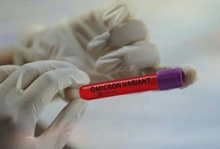 Covid: Ministério da Saúde confirma identificação de 11 casos da variante ômicron