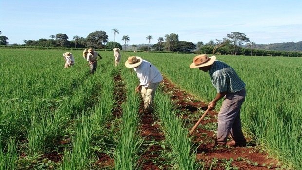 Agricultores familiares terão até R$3 mil de auxílio