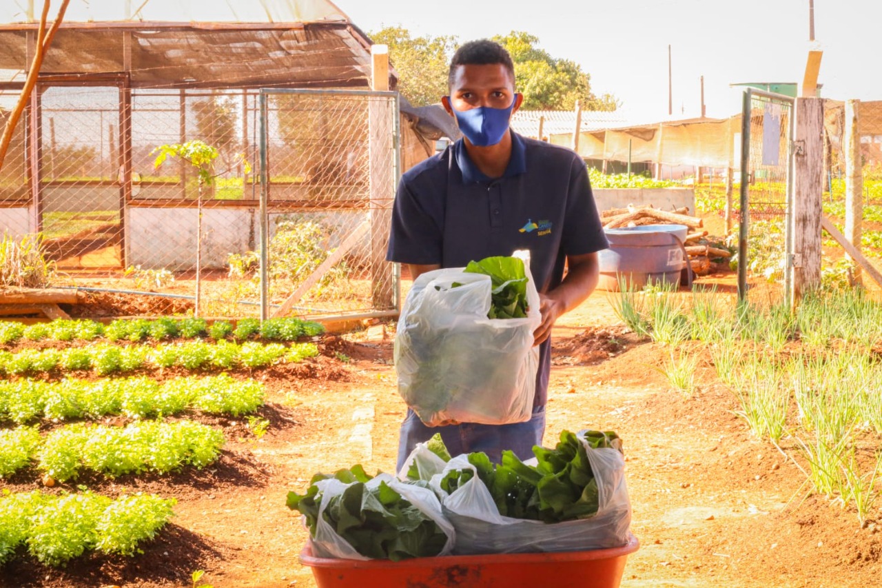 Horta Municipal de Senador Canedo inicia instalação de cultivo hidropônico