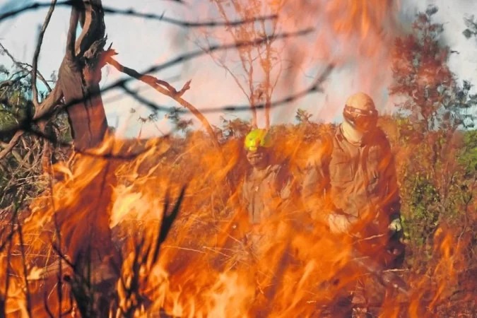 Incêndios consomem cerrado e Amazônia, mostra Inpe