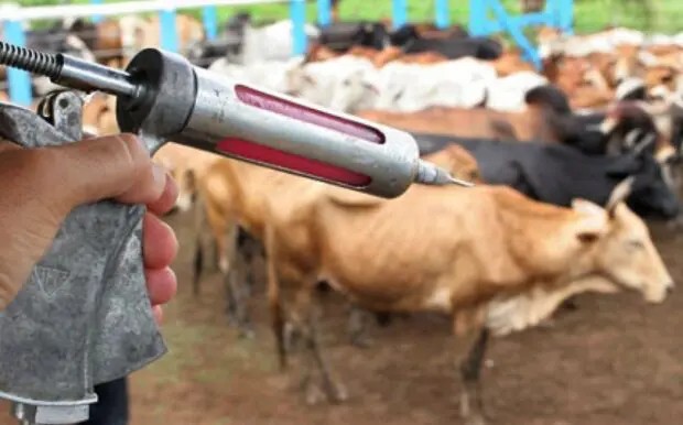 Goiás divulga campanha de vacinação contra a raiva de herbívoros