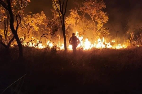 Agosto começa em Goiás com alto risco de incêndio, alerta instituto