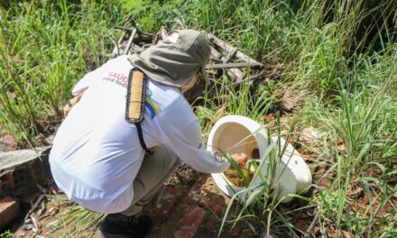 Prefeitura de Senador Canedo promove Dia D de manejo ambiental contra o Aedes aegypti