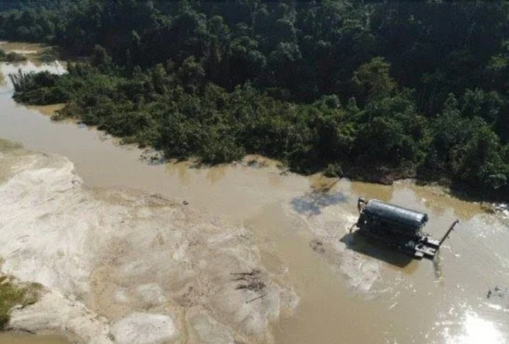 Pai e filho italianos compraram mil quilos de ouro de terra indígena