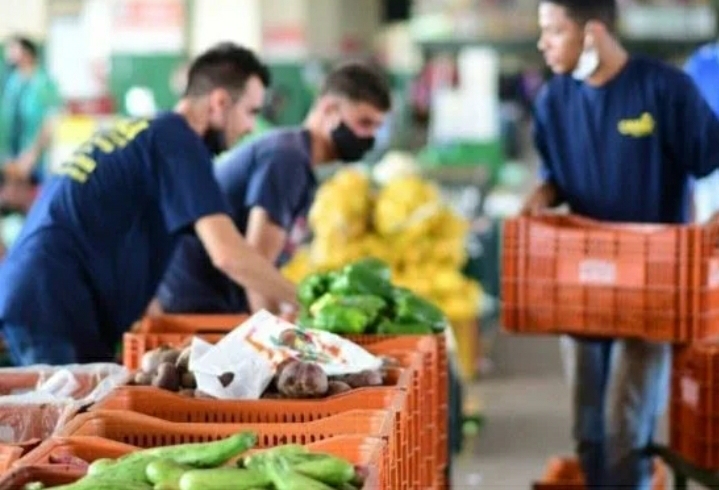 Chuva provoca prejuízo para os agricultores do DF; preço das hortaliças dispara