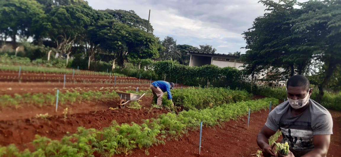 Programa de apoio ao pequeno agricultor é regulamentado em Senador Canedo