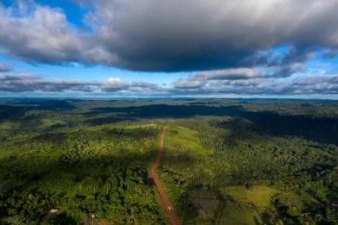 Omissão na região da Floresta Amazônica favorece avanço da violência