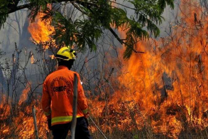 Cerrado é o bioma mais atingido por focos de incêndios florestais em 2022
