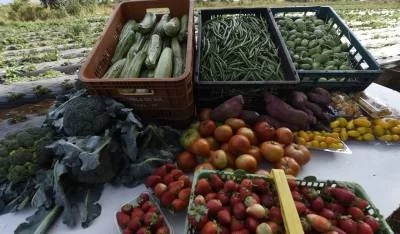 Pequenos agricultores pedem para candidatos mais atenção ao setor