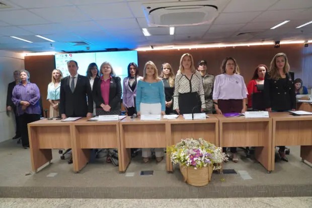 Deputadas goianas discutem aplicação da Lei Maria da Penha